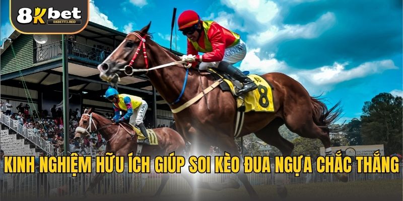 Kinh nghiệm hữu ích giúp soi kèo đua ngựa chắc thắng
