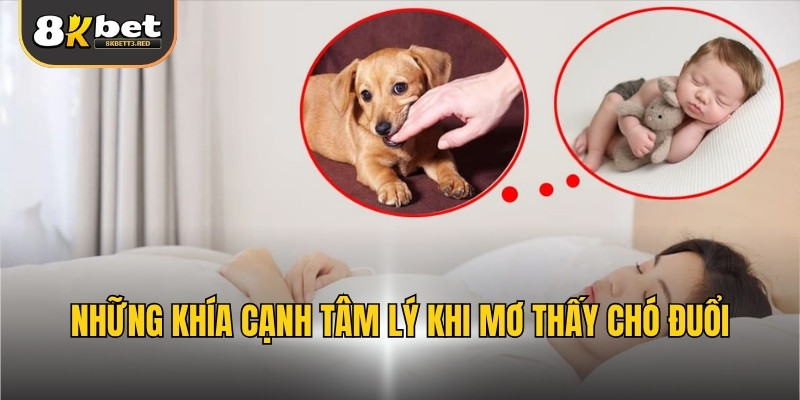 Những khía cạnh tâm lý khi mơ thấy chó đuổi